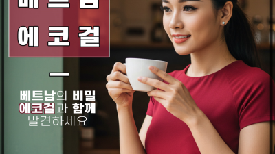 베트남 에코걸 top1 에이전시 소개